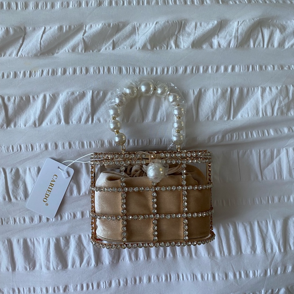Rosantica inspired holli pearl cage purse